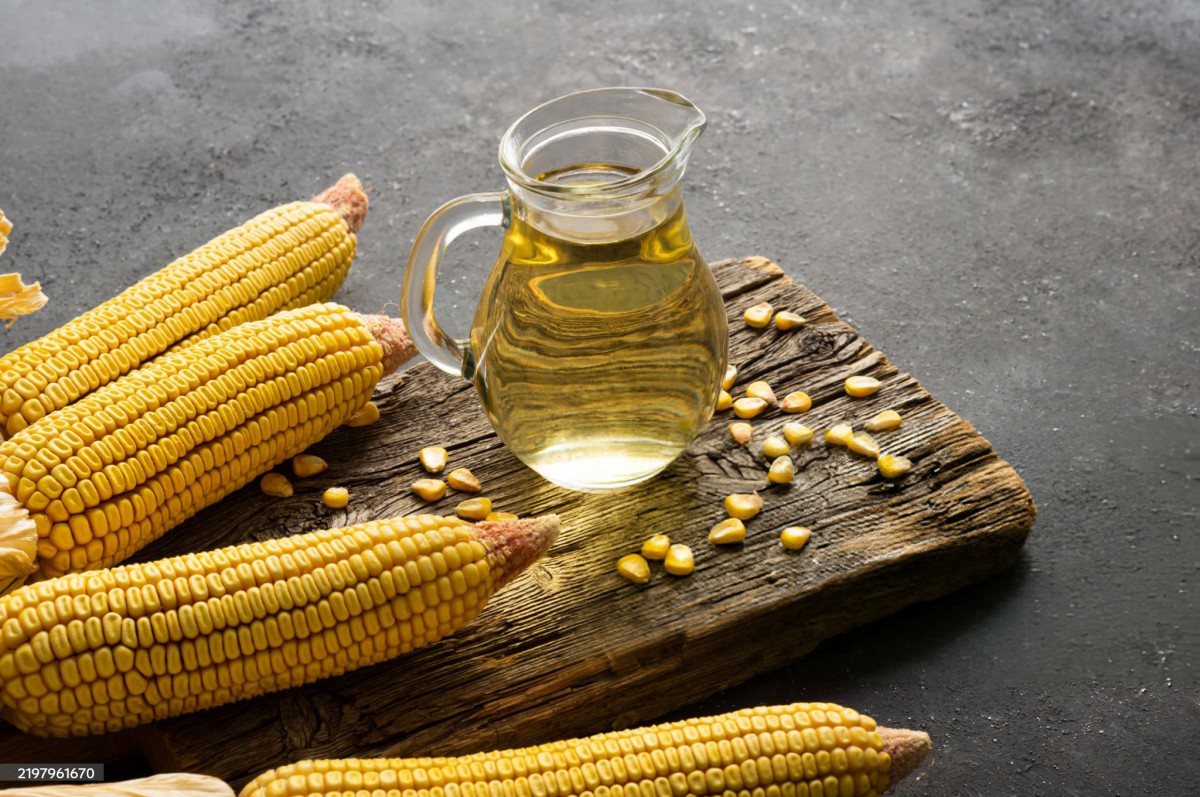 Oils for the Food Industry