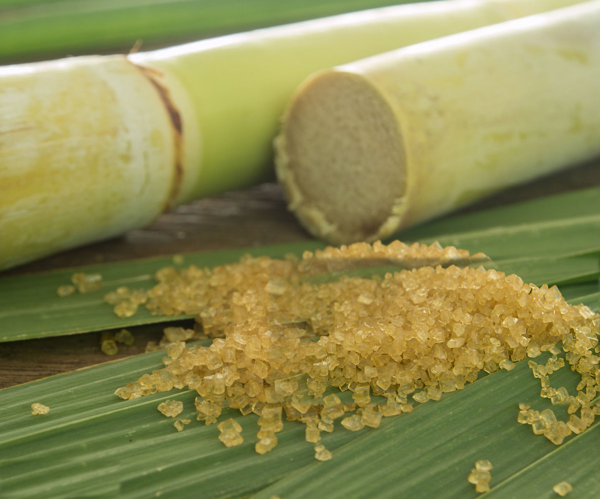 Powdered and Raw Sugar