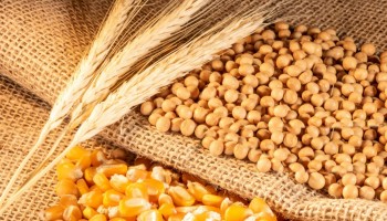 Agricultural products