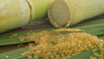 Powdered and Raw Sugar