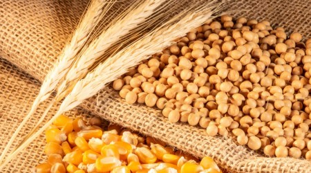 Agricultural products Agricultural products